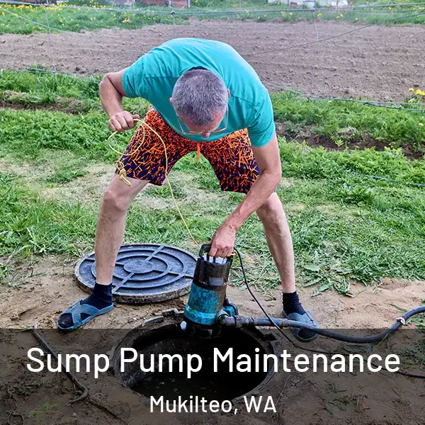  Sump Pump Maintenance Mukilteo, WA