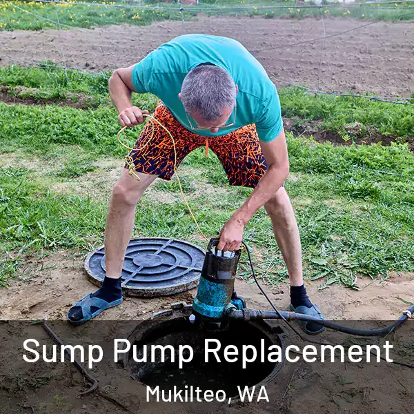  Sump Pump Replacement Mukilteo, WA