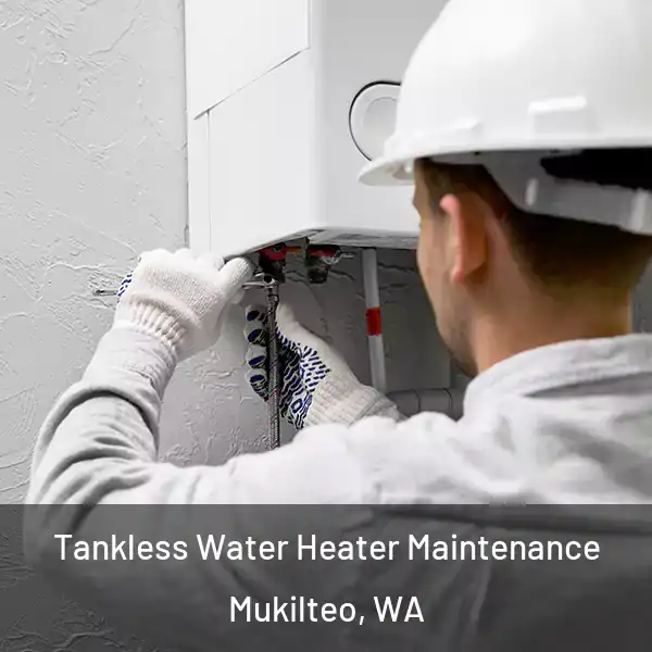  Tankless Water Heater Maintenance Mukilteo, WA