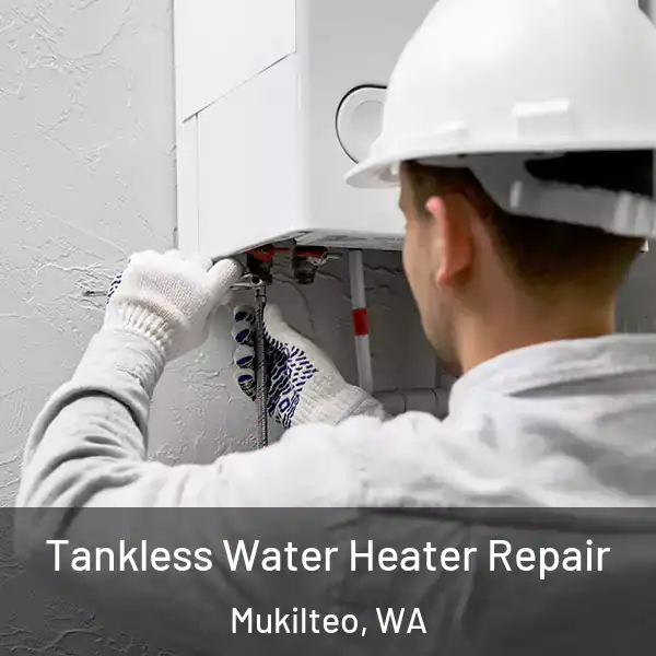  Tankless Water Heater Repair Mukilteo, WA