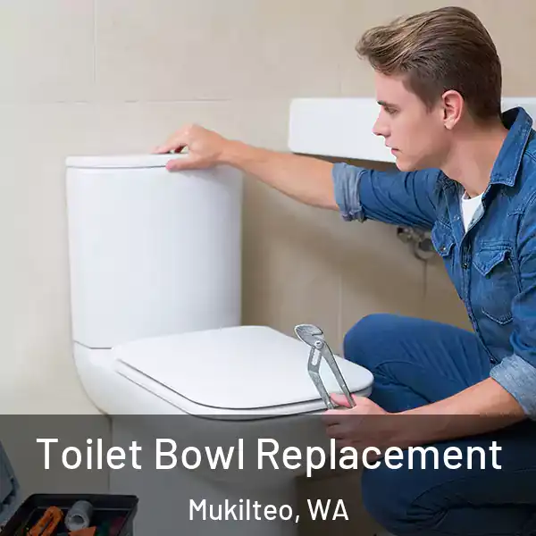  Toilet Bowl Replacement Mukilteo, WA