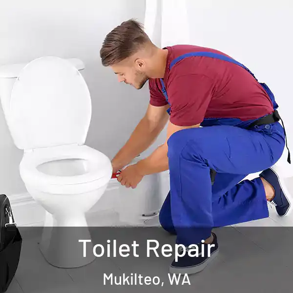  Toilet Repair Mukilteo, WA