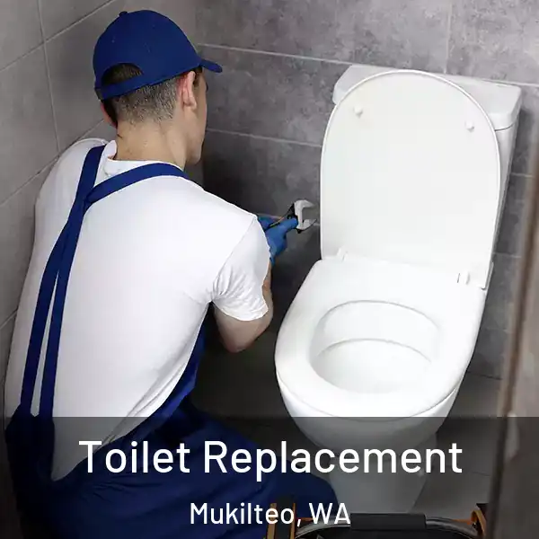  Toilet Replacement Mukilteo, WA