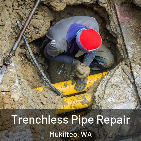  Trenchless Pipe Repair Mukilteo, WA