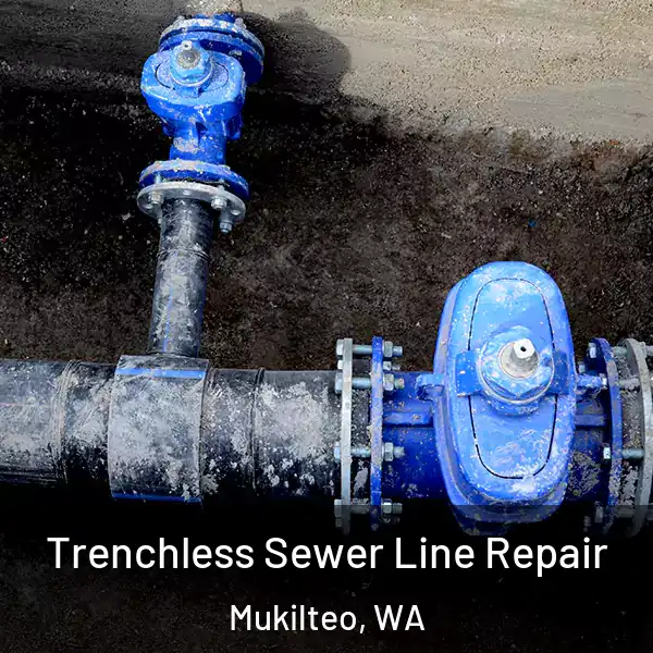  Trenchless Sewer Line Repair Mukilteo, WA