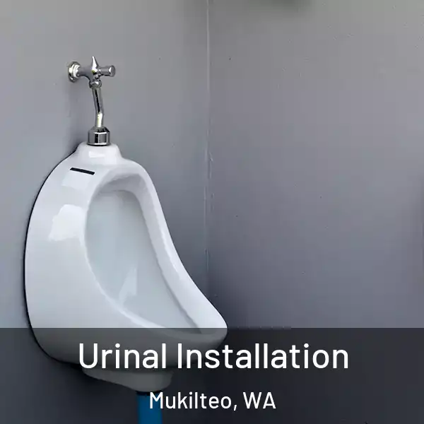  Urinal Installation Mukilteo, WA