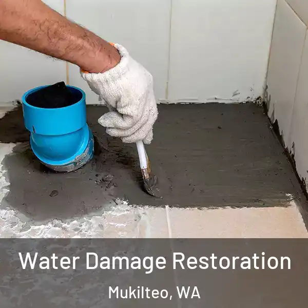  Water Damage Restoration Mukilteo, WA