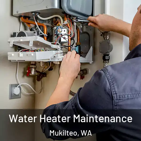  Water Heater Maintenance Mukilteo, WA
