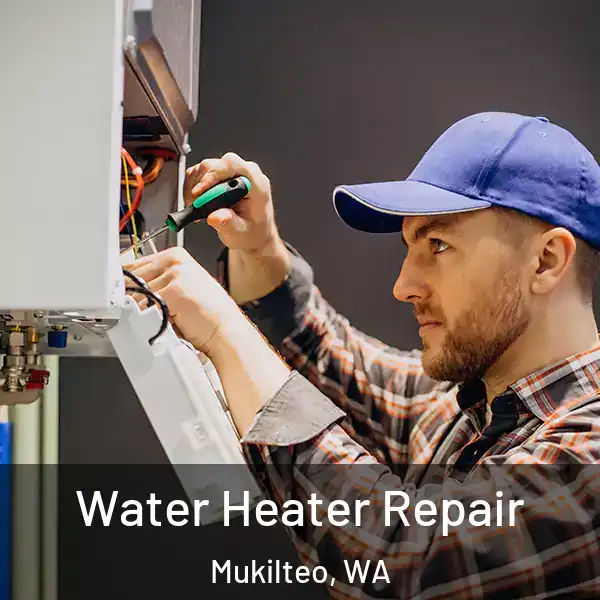  Water Heater Repair Mukilteo, WA