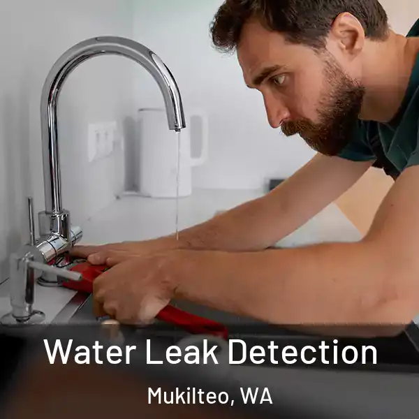  Water Leak Detection Mukilteo, WA
