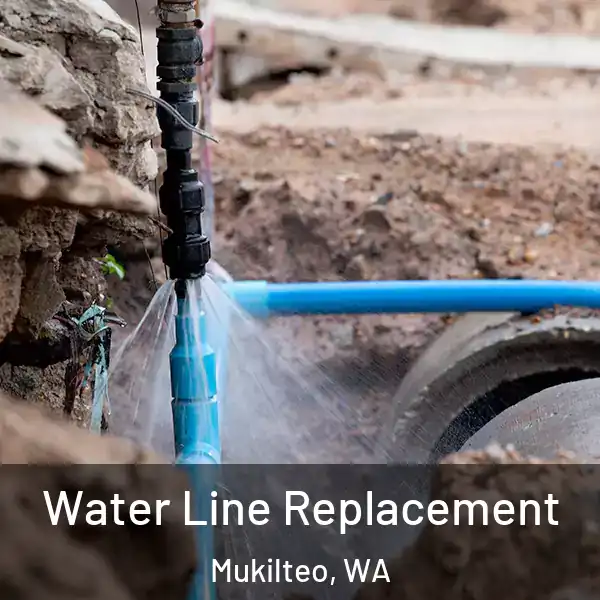  Water Line Replacement Mukilteo, WA