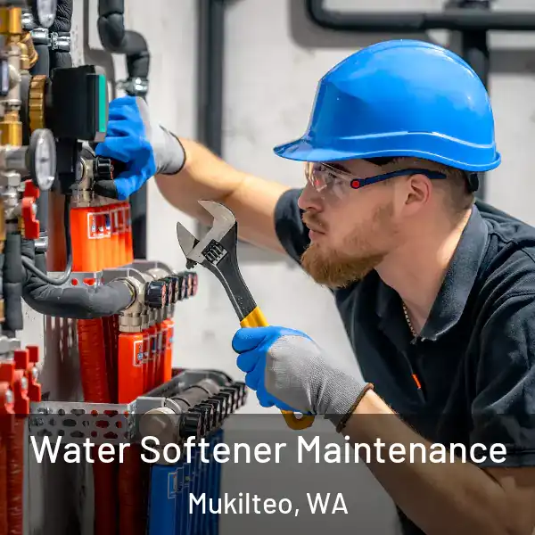  Water Softener Maintenance Mukilteo, WA