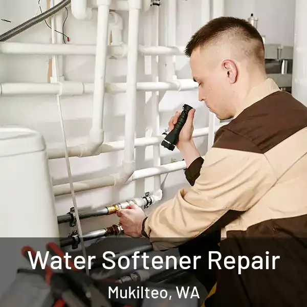  Water Softener Repair Mukilteo, WA