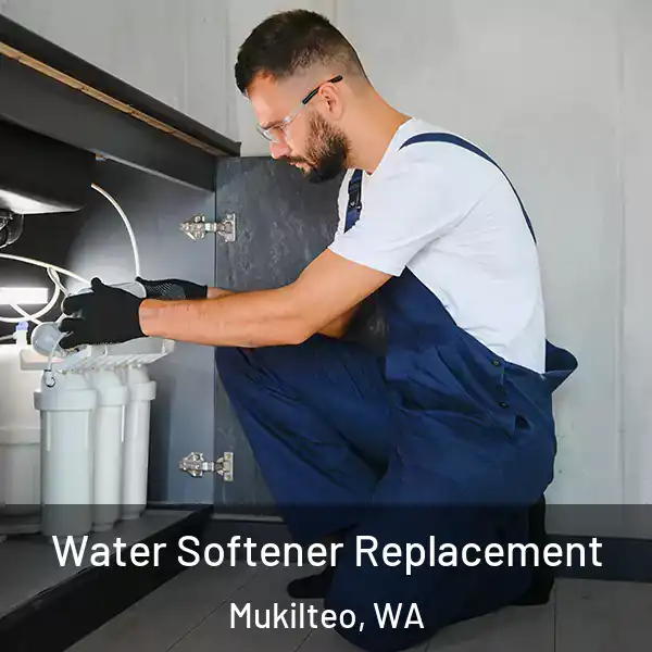  Water Softener Replacement Mukilteo, WA