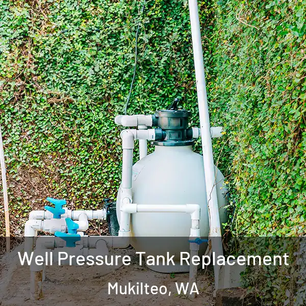  Well Pressure Tank Replacement Mukilteo, WA