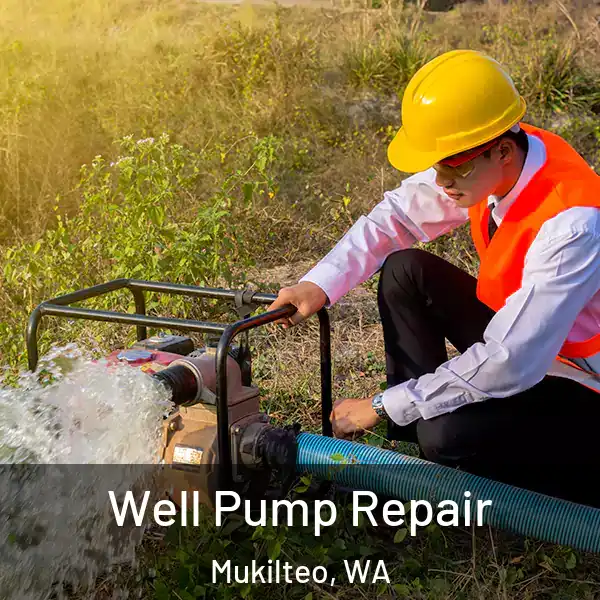  Well Pump Repair Mukilteo, WA