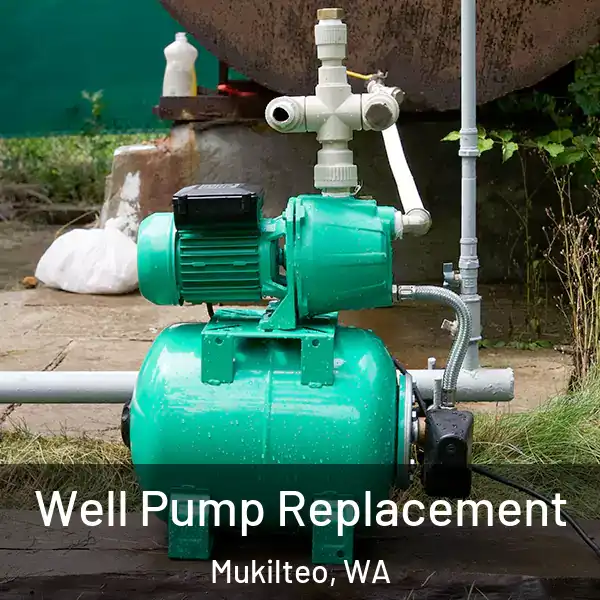  Well Pump Replacement Mukilteo, WA